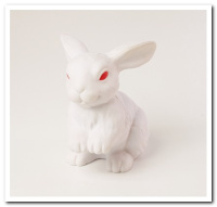 MAF-049 White Rabbit